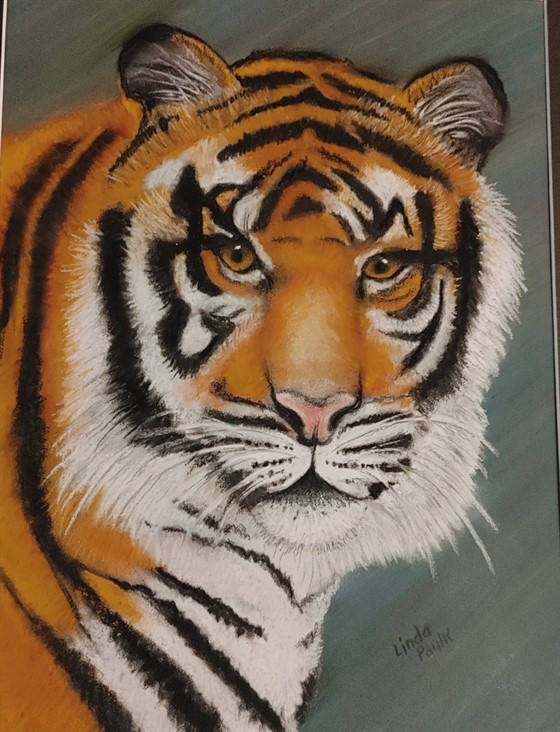Pastel tiger.jpg